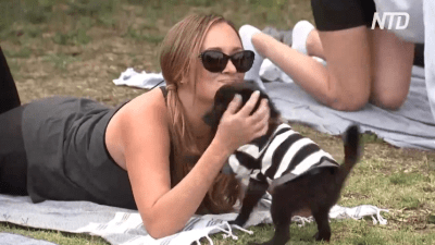 Йога со щенками