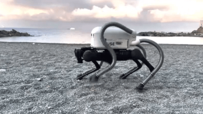 Собака-робот собирает окурки на пляжах итальянской Генуи