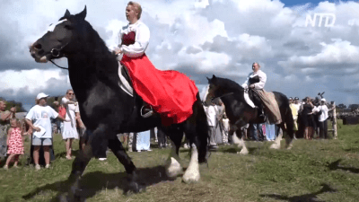 Достояние России: в Гавриловом Посаде чествуют знаменитых «владимирцев»