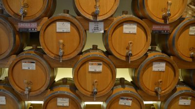 Абитуриенты в три раза чаще стали выбирать винодельческие специальности