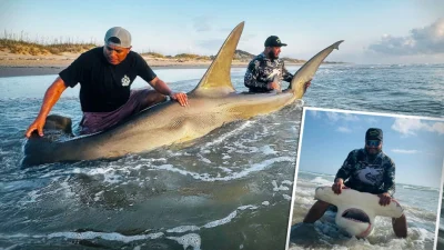 Техасский рыболов поймал на удочку 4-метровую акулу-молот и отпустил