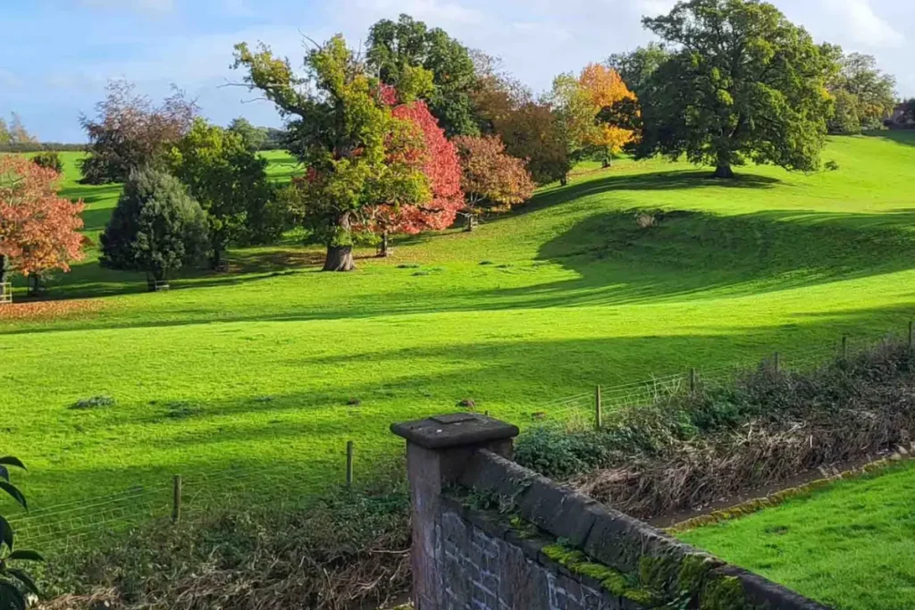 Вид на холмистые земли поместья. (Courtesy of Pitchford Estate) Супруги купили заброшенный 500-летний дом — и вот какой он стал после грандиозного ремонта