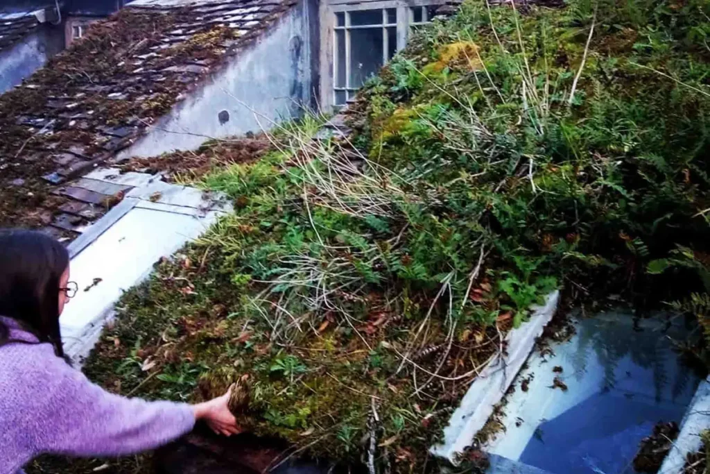 Крыша до ремонта. (Courtesy of Pitchford Estate) Супруги купили заброшенный 500-летний дом — и вот какой он стал после грандиозного ремонта