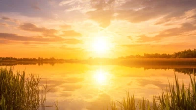 Сезонные радости: описание лета