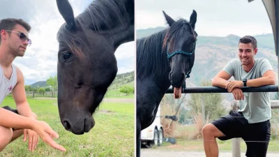 Недоверчивая лошадь полюбила жениха своей владелицы, и теперь они лучшие друзья