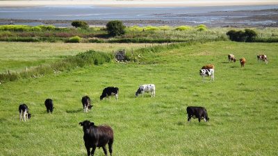 Арестовали фермера державшего в рабстве трёх человек