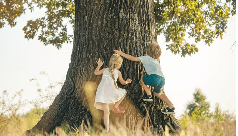 (shutterstock.com) | Epoch Times Россия