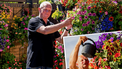 В разноцветном саду любителя-садовода насчитывается 200 подвесных корзин