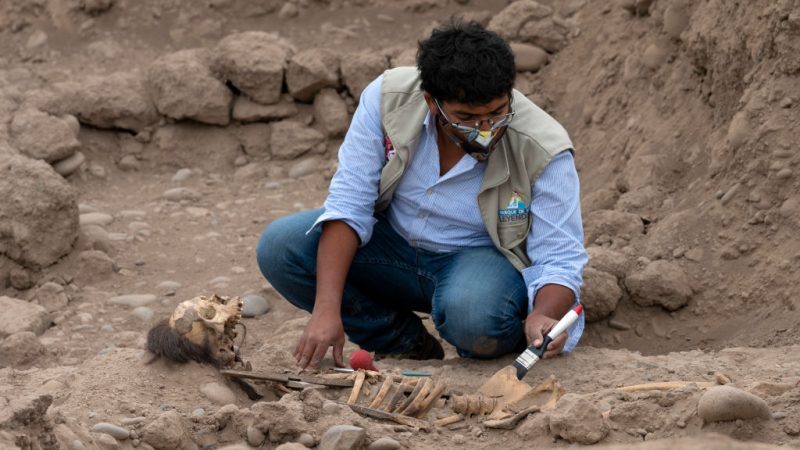 Фото: CRIS BOURONCLE/AFP via Getty Images
 | Epoch Times Россия