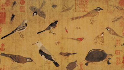 Небесный путь: История возвращения долгов через 700 лет