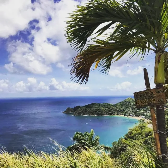 22-летний британец построил дом на Карибах всего за $4 тыс.