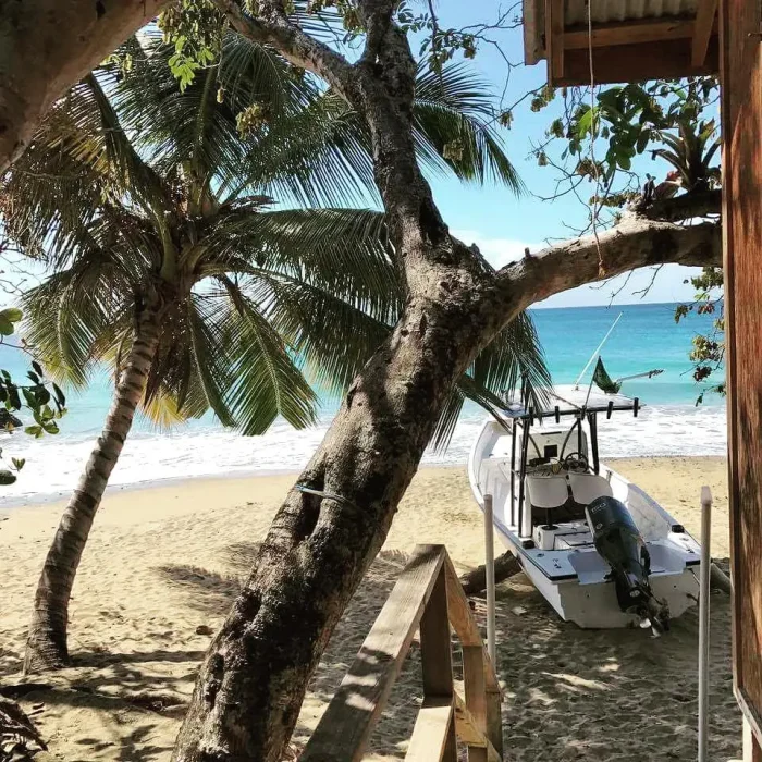 22-летний британец построил дом на Карибах всего за $4 тыс.