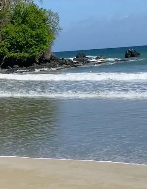 22-летний британец построил дом на Карибах всего за $4 тыс.