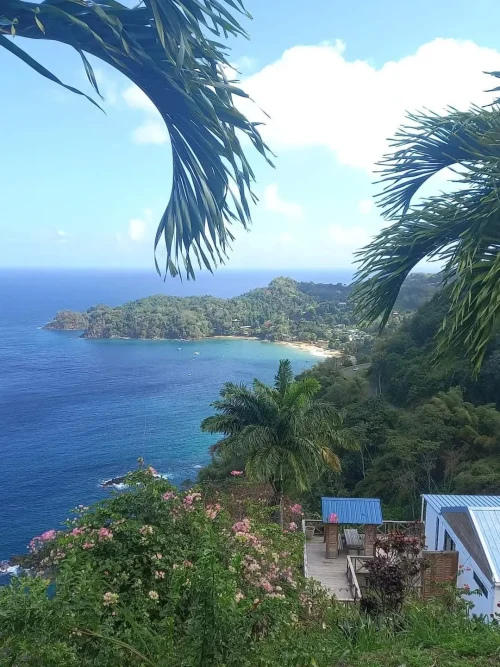 22-летний британец построил дом на Карибах всего за $4 тыс.