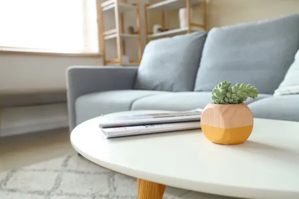 Суккуленты: создайте великолепный сад, почти не требующий ухода