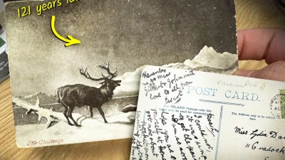 Открытку, отправленную в 1903 году, доставили в августе 2024 года по указанному адресу