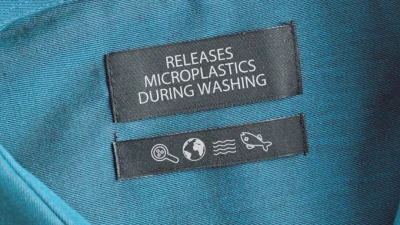 Микропластик впервые обнаружен в мозге человека