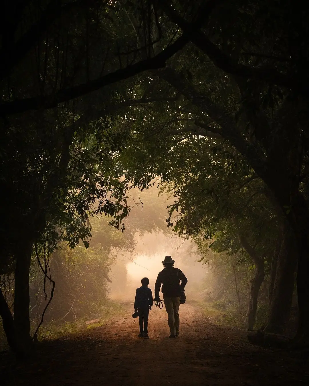 Шрейови с папой в национальном парке Кеоладео в Бхаратпуре, Индия. (Courtesy of Allen Jacob) Девятилетняя девочка за фотографию павлинов туманным зимним утром получила премию «Фотограф года дикой природы»