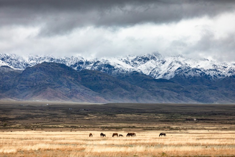 Незамеченный герой: верный генерал Чингисхана Бо’орчу