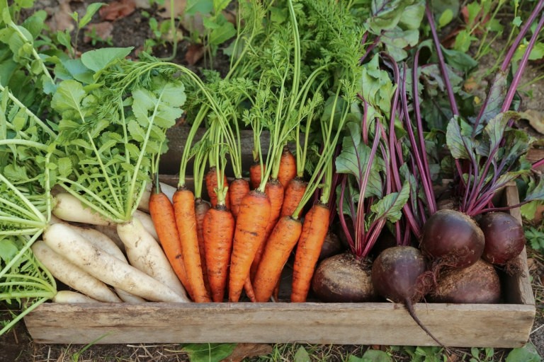 Как прозорливость жены  спасла жизнь чиновнику династии Тан