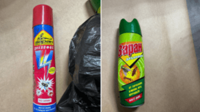 Возле дома погибших от отравления детей под Красноярском нашли котёнка со следами инсектицидов