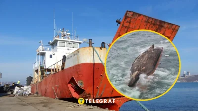 ЧП на Сахалине: «Григорий Ловцов» ушёл под воду, четверо погибли