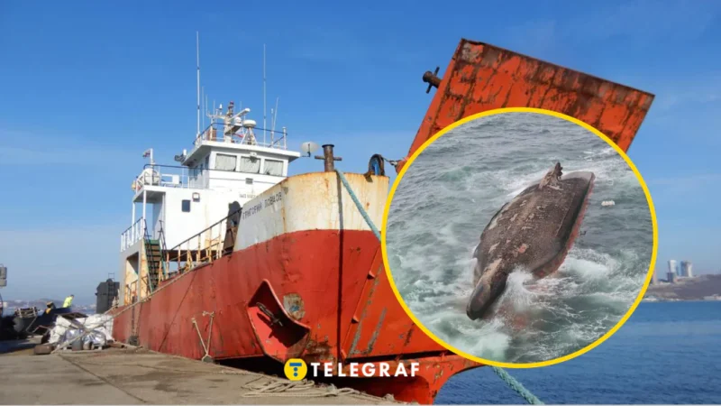 Судно «Григорий Ловцов». (Коллаж «Телеграфа») | Epoch Times Россия