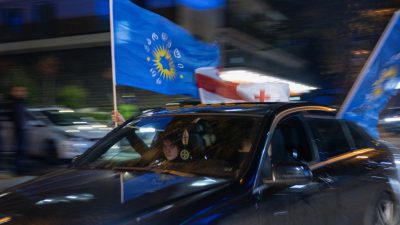 США и ЕС прокомментировали итоги парламентских выборов в Грузии