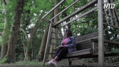 Парк в психиатрической клинике: как природа помогает пациентам в Бирмингеме