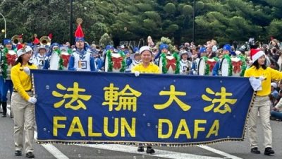 Новая Зеландия. Фалунь Дафа тепло приветствовали на четырёх рождественских парадах
