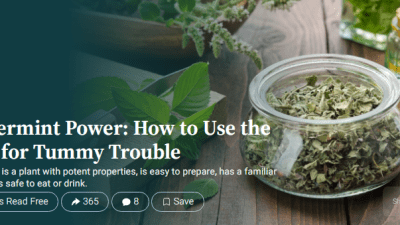 Сила перечной мяты при проблемах с кишечником и многими другими недугами