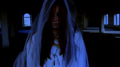 Учёные: «Дом с привидениями» укрепляет иммунную систему