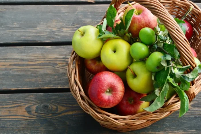 Бор — ключ к здоровью суставов и крепким коленям