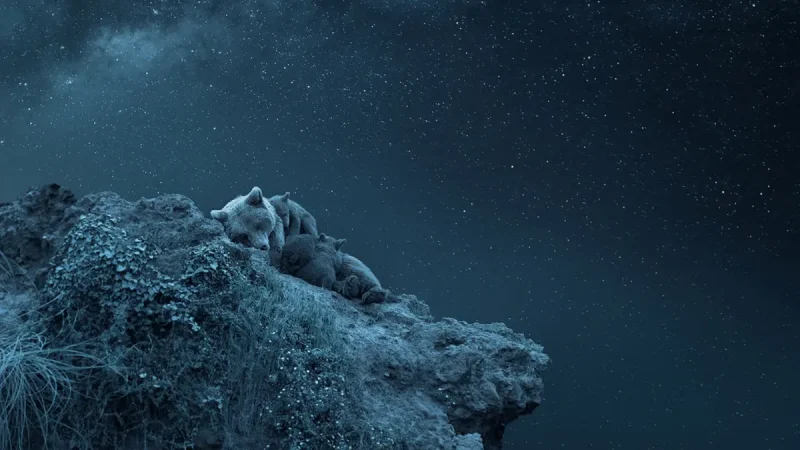 «Мечты над Вселенной», фото Лурдес Сантандер. (Courtesyof LurdesSantander) | Epoch Times Россия