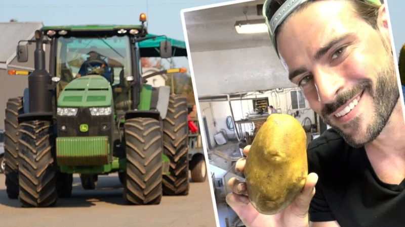 Составлено по материалам The Epoch Times, (Photos courtesy of Tyler Heppell) | Epoch Times Россия