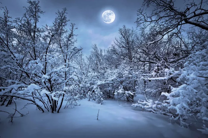 Два новолуния в декабре: «Холодная луна» и «Чёрная луна» украсят ночное небо