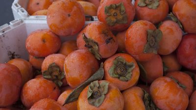 Абхазскую хурму не пропустили в Сочи из-за опасного насекомого