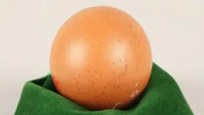 Сферическое чудо: куриное яйцо продано в Шотландии за $250