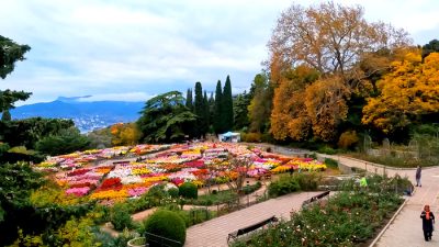 Крым. В Ялте прошла самая притягательная выставка хризантем!