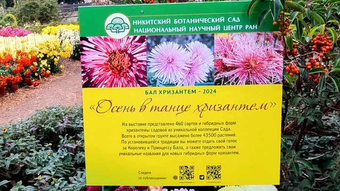 (Фото: Алла Богданова)