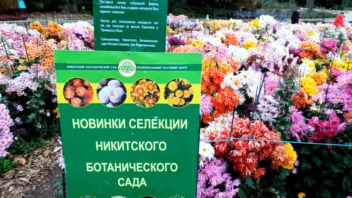 (Фото: Алла Богданова)