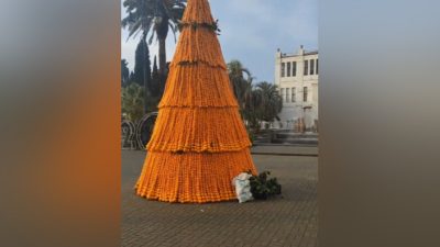 Мандариновую 5-метровую ёлку установили в Абхазии (видео)