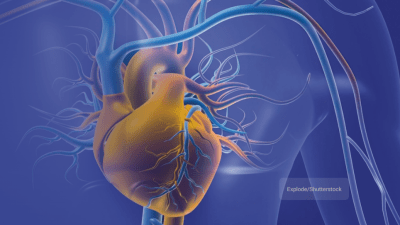 Шесть упражнений, которые помогут контролировать высокое артериальное давление