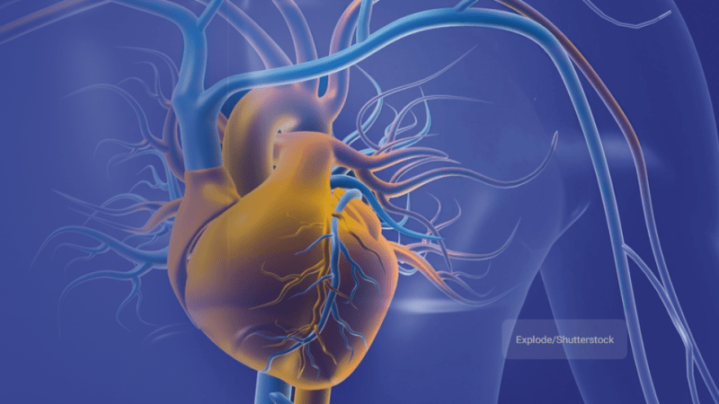 Шесть упражнений, которые помогут контролировать высокое артериальное давление (Explode/Shutterstock) | Epoch Times Россия