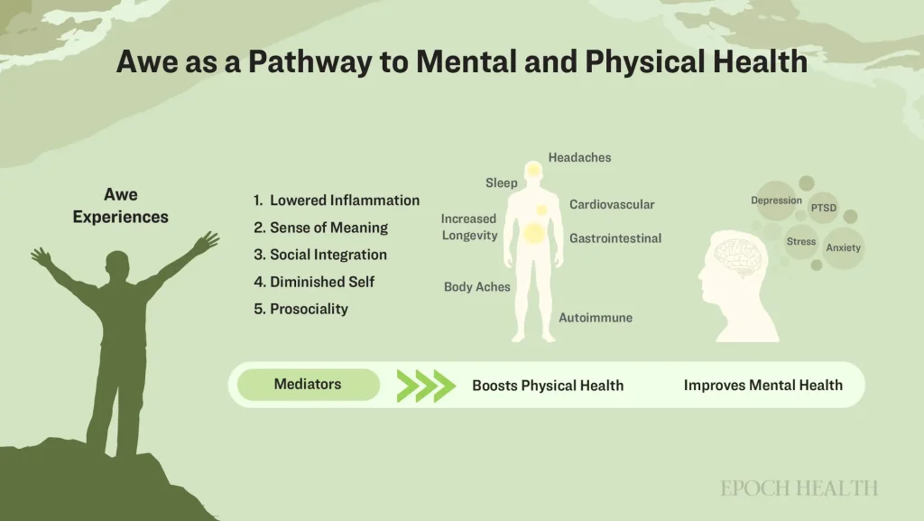 Как благоговение укрепляет иммунитет