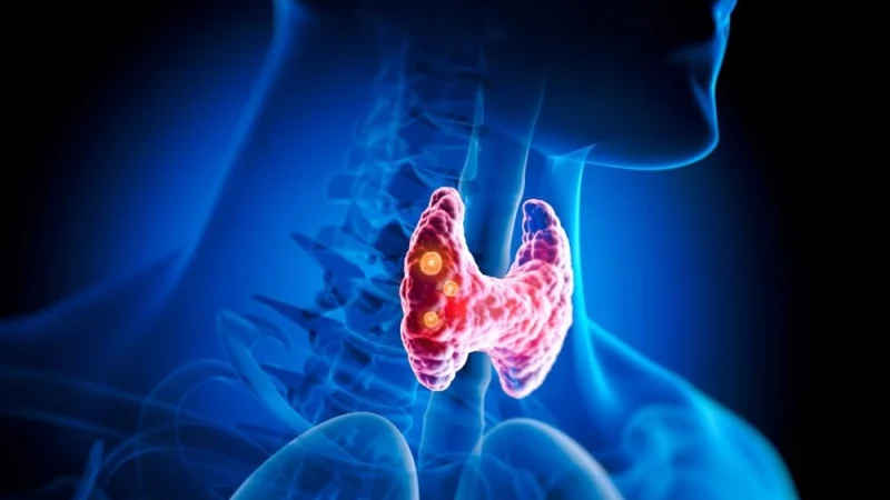 (Perfect Wave/Shutterstock) | Epoch Times Россия