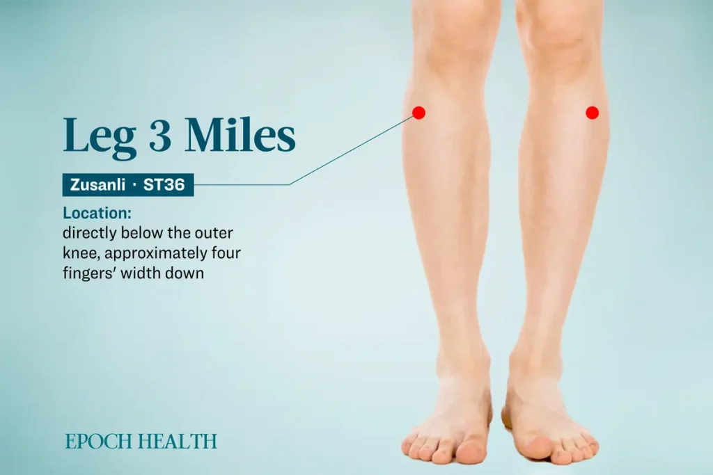 Заболевания щитовидной железы: натуральные средства и варианты лечения