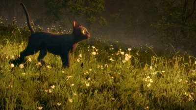 Анимационный фильм «Поток» — абсолютное чудо, обязательно посмотрите