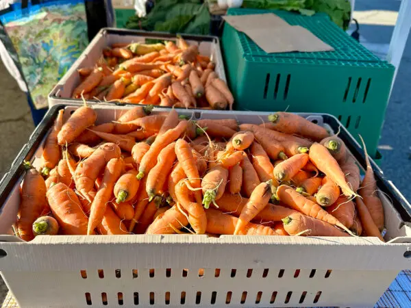 О морковке, завоевавшей кухни всего мира Морковь на прилавке фермы Coldco на субботнем рынке в Блумфилде в ноябре 2024 года. (Hal B. Klein/Pittsburgh Post-Gazette/TNS)