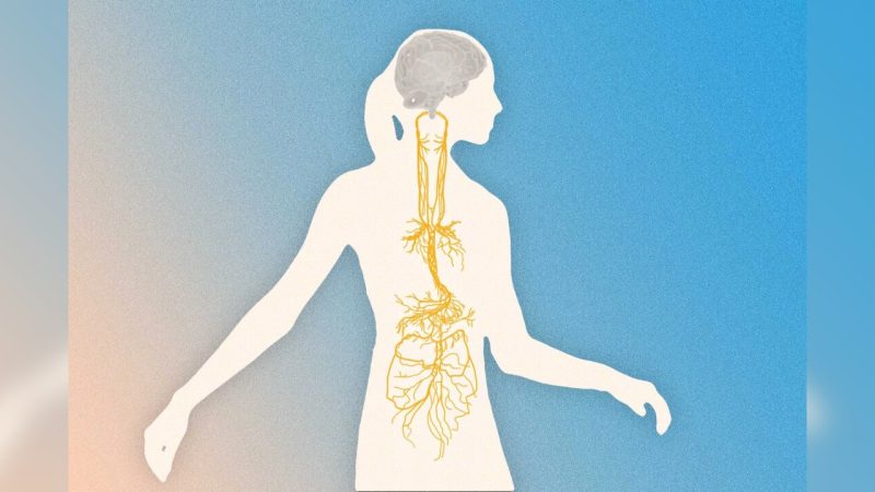 (Illustration by The Epoch Times, Shutterstock) | Epoch Times Россия